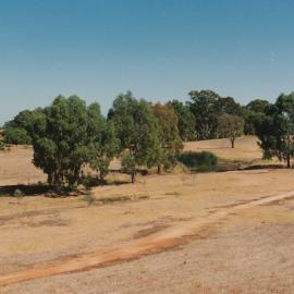 Jacaranda Heights, Craigmore