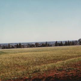 Smithfield Memorial Park Cemetery: 1985