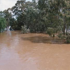 Gawler River Flood: 1992