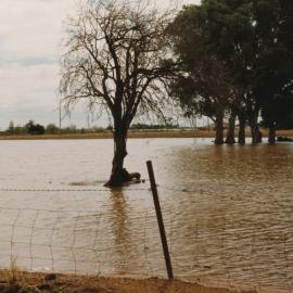 Floods in the City of Playford