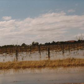 Floods in the City of Playford