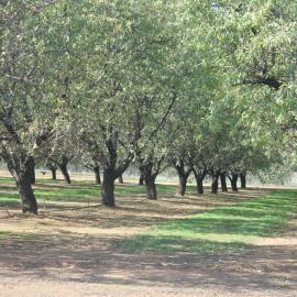 Curtis Road Munno Para: 2015