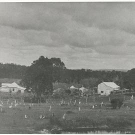 Cottages at One Tree Hill