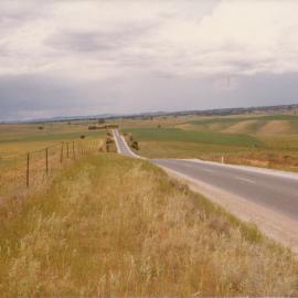 Blacktop Road, One Tree Hill
