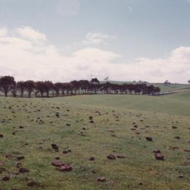 Gould Creek Homestead