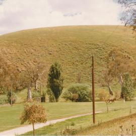 Gould Creek Homestead