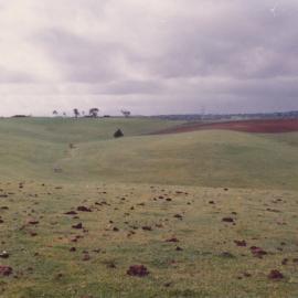 Gould Creek Property