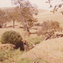 Gould Creek Property