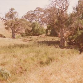 Gould Creek Property