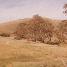 Gould Creek Property