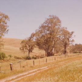 Gould Creek Property