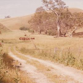 Gould Creek Homestead