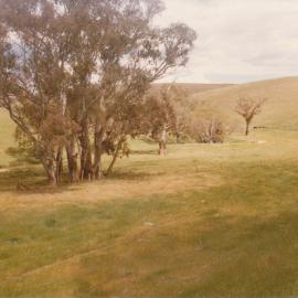 Gould Creek Homestead
