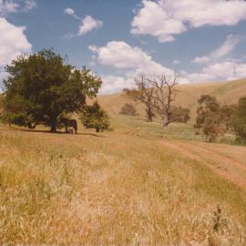 Gould Creek Homestead