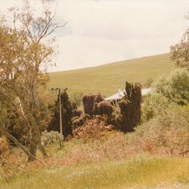 Gould Creek Homestead