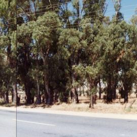 Krudop Homestead, Angle Vale