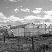 Virginia's Market Gardens