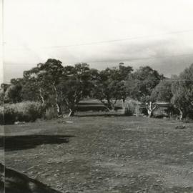 Carisbrooke Park, Salisbury Park
