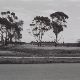 Elizabeth Bowling Club