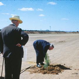 Sir Thomas Playford Plants Tree