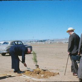 Sir Thomas Playford Plants Tree