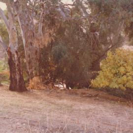 Blair Place, Smithfield