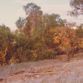 Blair Place, Smithfield