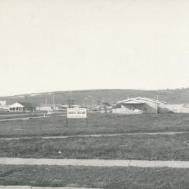 Elizabeth Vale: 1963