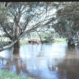 Gawler River