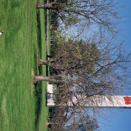 Elizabeth City Centre Tower