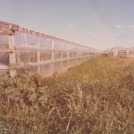 Virginia Glass Houses