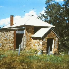 Precolumb school, One Tree Hill
