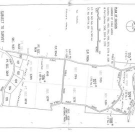 Occupation Surveys in Para Wirra