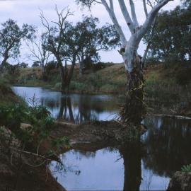 Gawler River