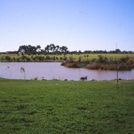 Stebonheath Wetlands Munno Para