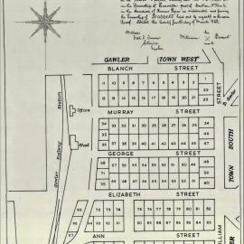 Plan of the Township of Bassett 