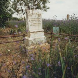 Carclew Cemetery: Robert White