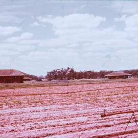 Smithfield Munitions Factory Site
