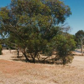 Hillbank Land Development