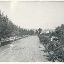 Blake Road, Elizabeth South: 1964