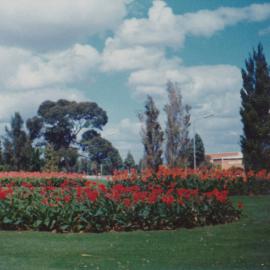 Elizabeth City Centre: 1975.