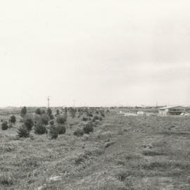 Elizabeth West: 1960.