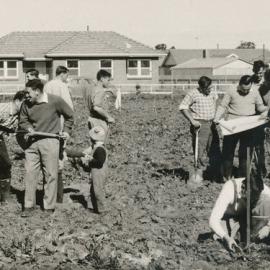 Lyell McEwin Hospital: 1960.