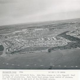 Elizabeth Vale: 1964