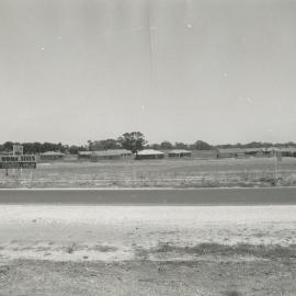 Elizabeth Vale: 1961