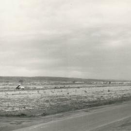 Elizabeth Park: 1960