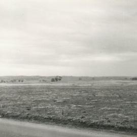 Elizabeth Park: 1960