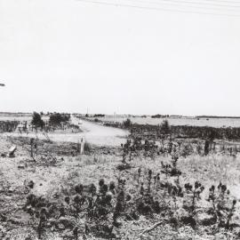 Philip Highway: 1956