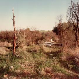 Uleybury Chapel Grounds, One Tree Hill: 1984