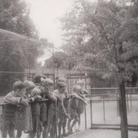 A trip to the zoo: 1964